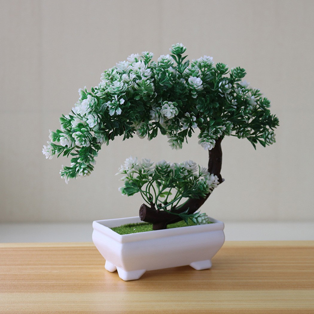Plastic potted bonsai ornament - Bonsai Garden Desk 评论和价格
