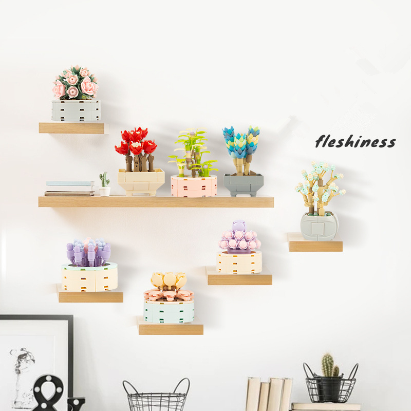 DIY MOC Potted Plants Succulen - Bonsai Garden Experts 评论和价格